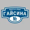 Адресная табличка переулок Гайсина на дом