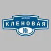 Адресная табличка аллея Кленовая на дом