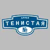 Адресная табличка аллея Тенистая на дом