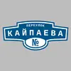 Адресная табличка переулок Кайпаева на дом