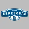 Адресная табличка аллея Березовая на дом
