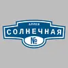 Адресная табличка аллея Солнечная на дом