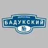 Адресная табличка переулок Бадукский на дом