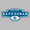 Адресная табличка переулок Березовая на дом