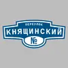 Адресная табличка переулок Княщинский на дом