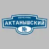 Адресная табличка переулок Актанышский на дом