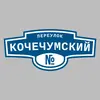 Адресная табличка переулок Кочечумский на дом