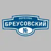 Адресная табличка переулок Бреусовский на дом