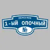 Адресная табличка переулок 1-ый Опочный на дом
