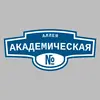 Адресная табличка аллея Академическая на дом
