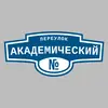Адресная табличка переулок Академический на дом