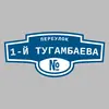 Адресная табличка переулок 1-й Тугамбаева на дом