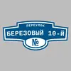 Адресная табличка переулок Березовый 10-й на дом