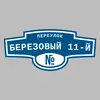 Адресная табличка переулок Березовый 11-й на дом