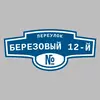 Адресная табличка переулок Березовый 12-й на дом