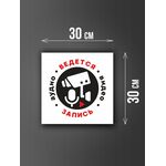 Размер наклейки "Ведется видео и аудио запись", 30х30 см, белая