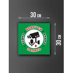 Размер наклейки "Ведется видео и аудио запись", 30х30 см, зеленая