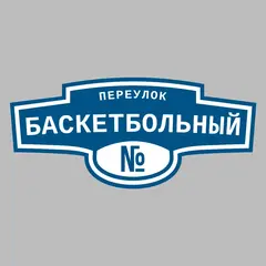 Адресная табличка переулок Баскетбольный на дом