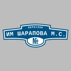 Адресная табличка переулок им Шарапова М.С. на дом