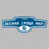 Адресная табличка улица Лесная (Роща мкр) на дом | ПолиЦентр, мастерская рекламы _ 3
