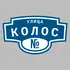 Адресная табличка улица Колос на дом | ПолиЦентр, мастерская рекламы _ 3