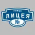 Адресная табличка улица Лицея на дом | ПолиЦентр, мастерская рекламы _ 3