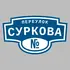 Адресная табличка переулок Суркова на дом | ПолиЦентр, мастерская рекламы _ 3