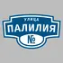 Адресная табличка улица Палилия на дом | ПолиЦентр, мастерская рекламы _ 3