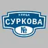 Адресная табличка улица Суркова на дом | ПолиЦентр, мастерская рекламы _ 3