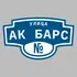 Адресная табличка улица Ак барс на дом | ПолиЦентр, мастерская рекламы _ 3