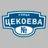 Адресная табличка улица Цекоева на дом | ПолиЦентр, мастерская рекламы _ 3