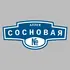 Адресная табличка аллея Сосновая на дом | ПолиЦентр, мастерская рекламы _ 3